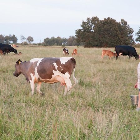Agroturystyka Lolkowo Srokowo Dış mekan fotoğraf