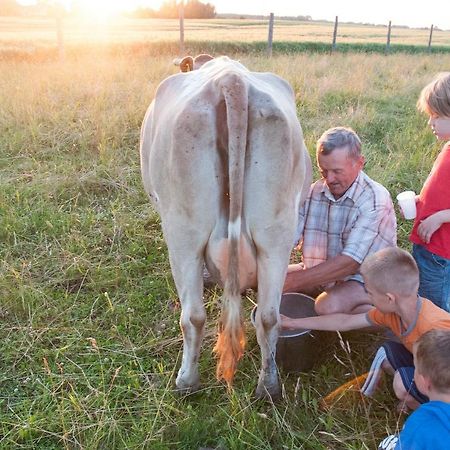 Agroturystyka Lolkowo Srokowo Dış mekan fotoğraf
