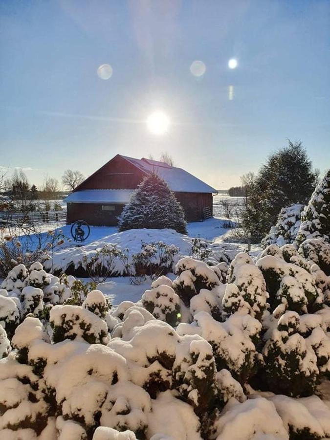 Agroturystyka Lolkowo Srokowo Dış mekan fotoğraf