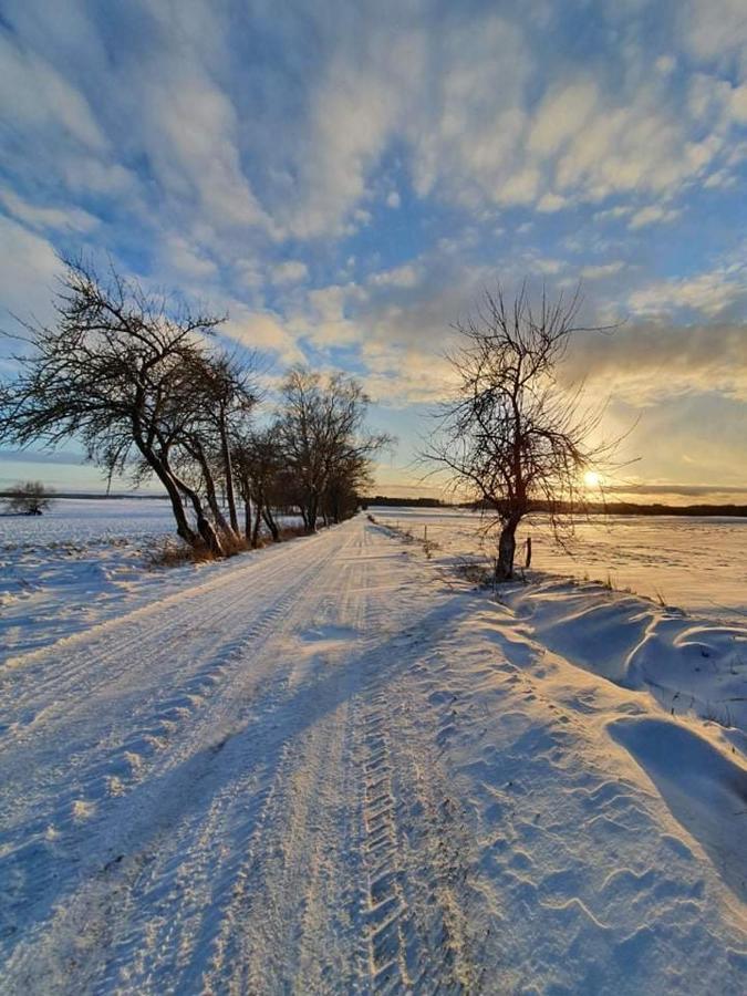 Agroturystyka Lolkowo Srokowo Dış mekan fotoğraf