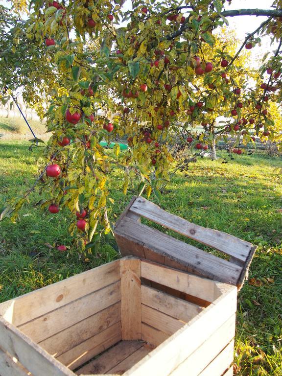 Agroturystyka Lolkowo Srokowo Dış mekan fotoğraf