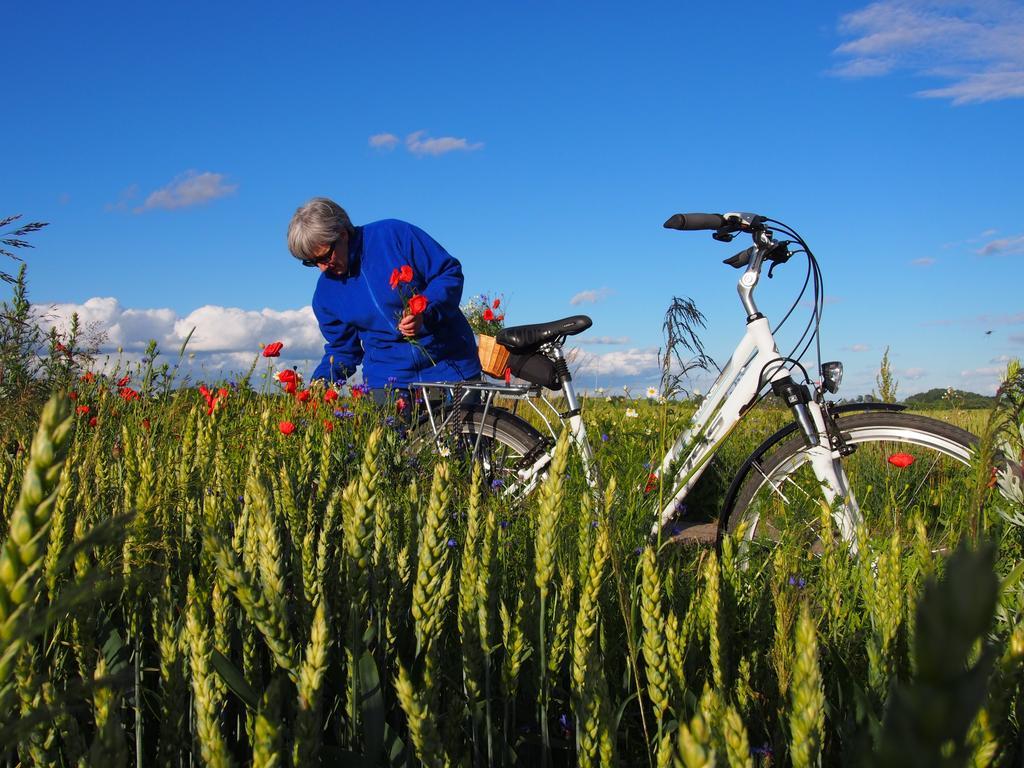 Agroturystyka Lolkowo Srokowo Dış mekan fotoğraf