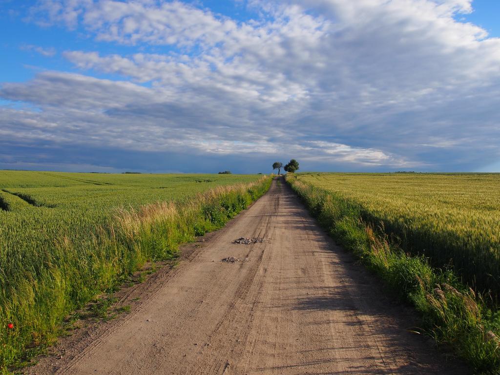 Agroturystyka Lolkowo Srokowo Dış mekan fotoğraf