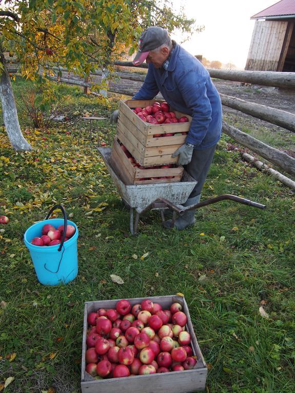 Agroturystyka Lolkowo Srokowo Dış mekan fotoğraf